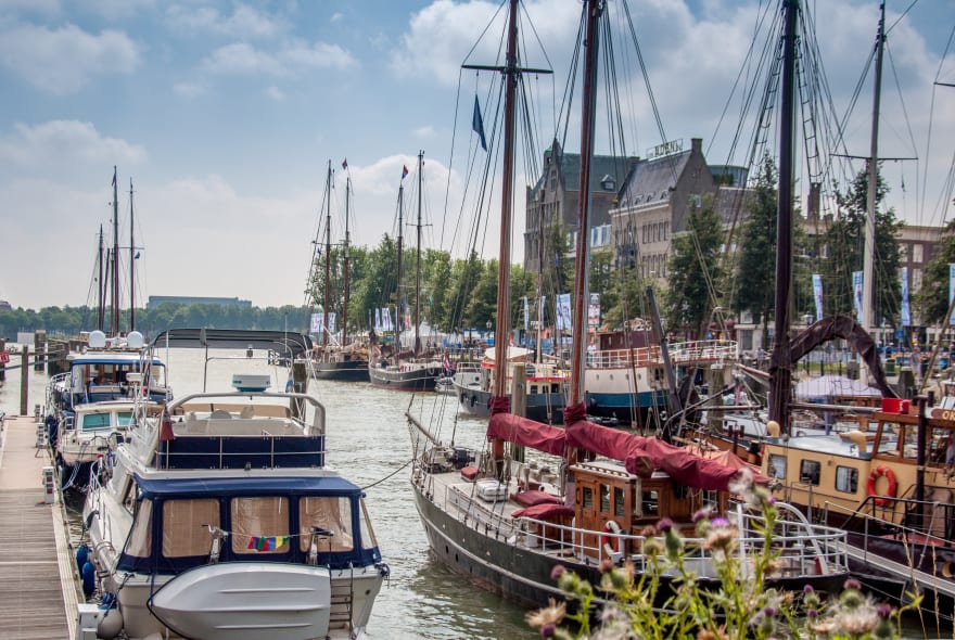 Picture of Highlights & Hidden Gems of Rotterdam