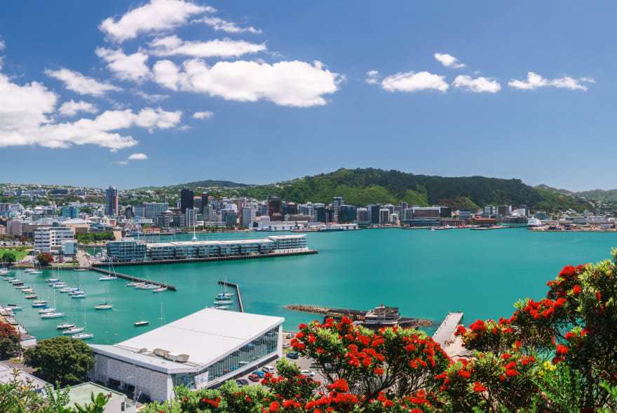 Picture of City Kickstart Tour: Wellington