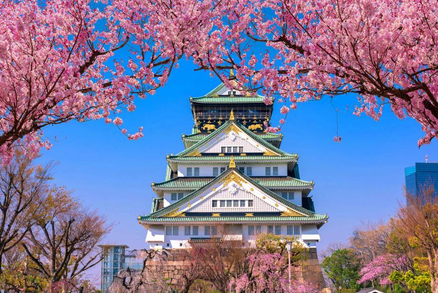 Picture of Osaka's Majestic Past: A Journey Through Time at the Historic Castle