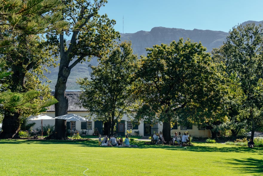 Picture of Sip and Savor: Constantia's Wine Tasting Adventure
