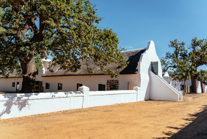 Picture of Vineyard Voyage: Unveiling Wine Delights of Stellenbosch