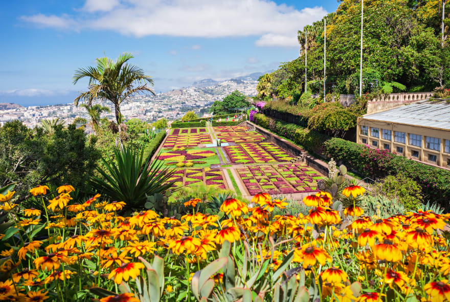 Picture of Day Trip: Funchal's Botanical Garden by Cable Car