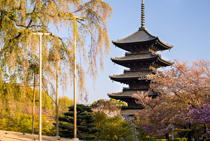Picture of Withlocals Your Way! - Nara City Tour
