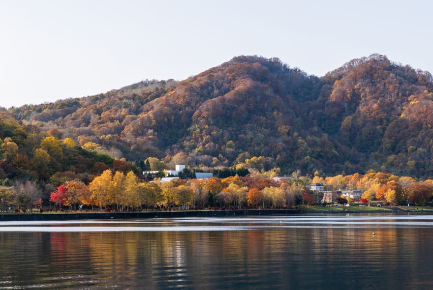Picture of Withlocals Your Way! : Hokkaido Day Trip