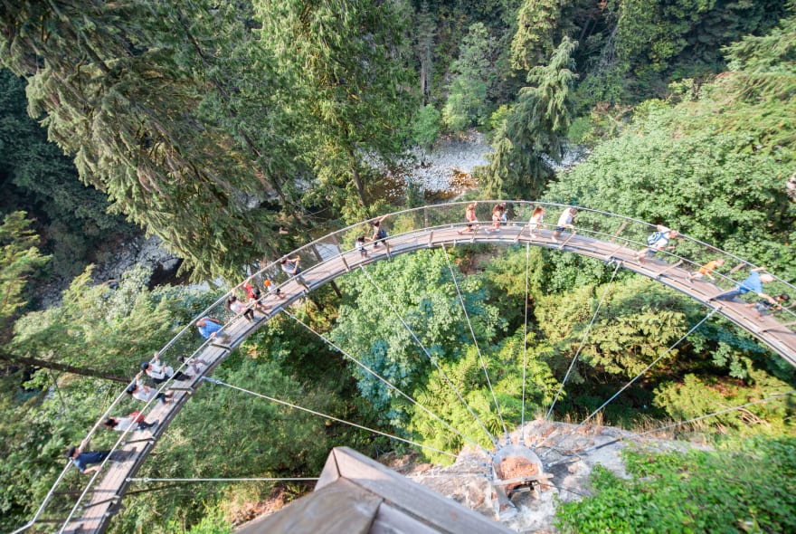 Picture of City Escape: Vancouver Lookout & Capilano Suspension Bridge Park Day Trip