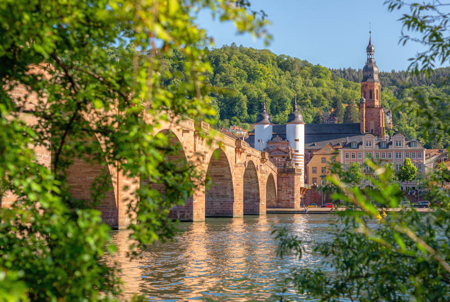 Picture of Highlights & Hidden Gems of Heidelberg including Castle Visit