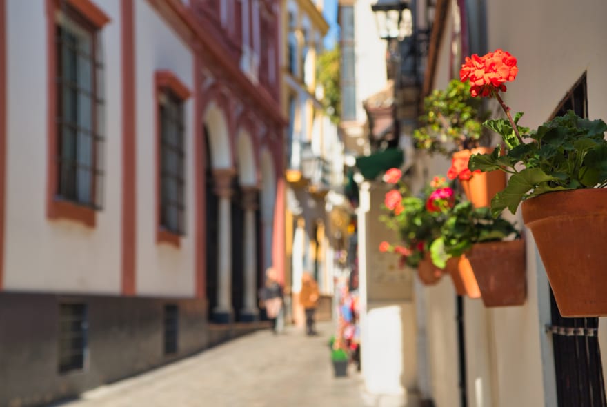 Picture of Exploring Seville Jewish Heritage – Traditional Snack & Drink Included