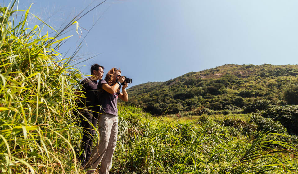 Visit Cheung Chau for a day trip