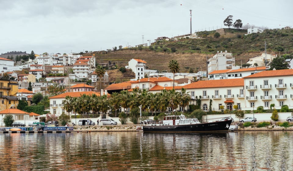 Cruise along the Douro River