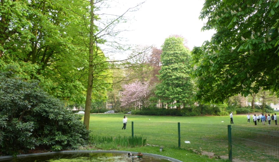 A view on a grass field in Kongin Albertpark