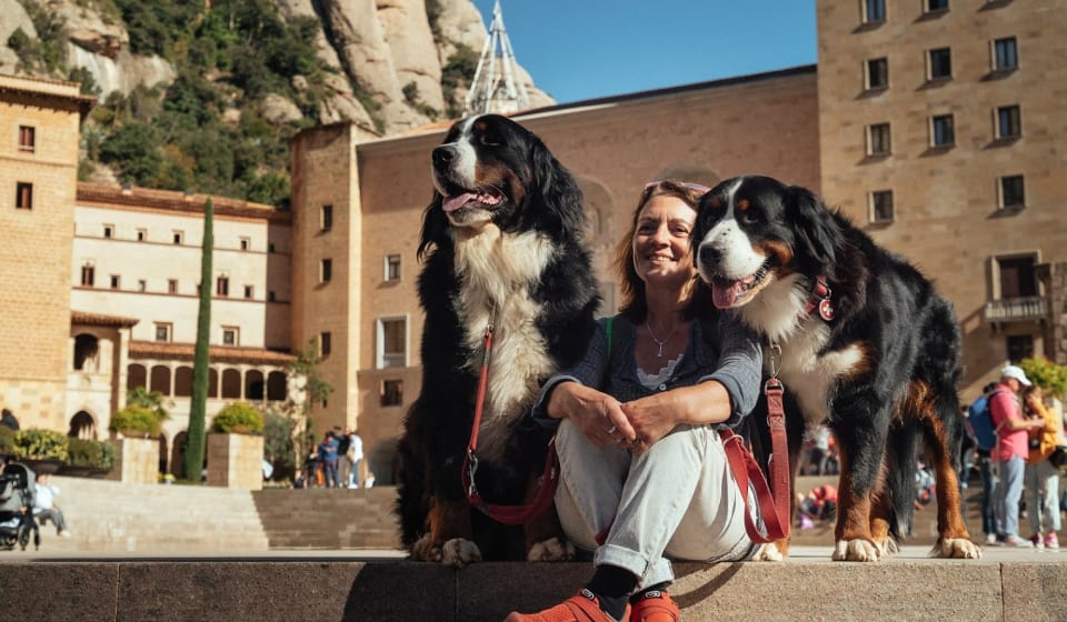 A tourist with 2 dogs sitting in Montserrat