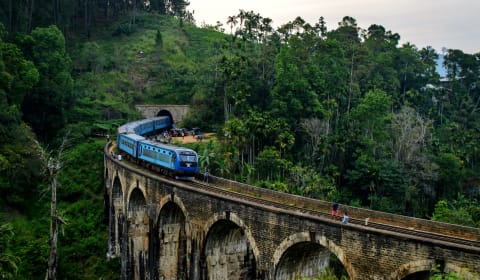 A train on curved bridge in the woods in Sri Lanka