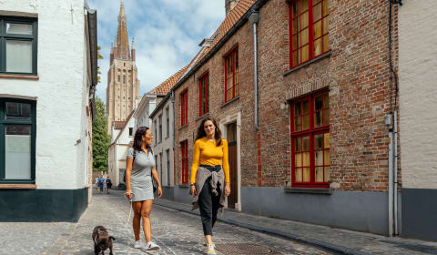 Two people taking a scroll with a dog in an empty street in Bruges
