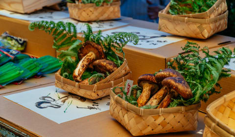 Mushrooms in a vendor stall