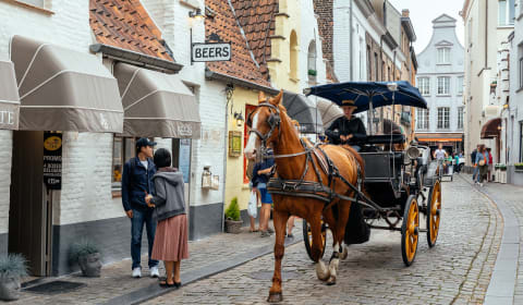 A horse with a carriage in the streets of Bruges