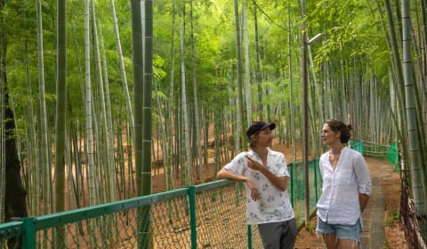 A local guide telling a story to a tourist in Arashiyama Bamboo Grove