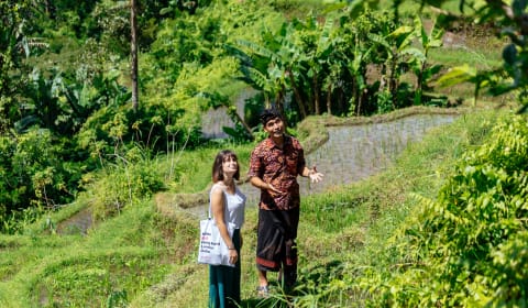 A local guide showing rice fields on Bali to a tourists