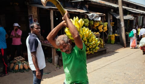 A man on the streets of Colombo caring bananas on his back