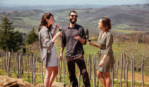 Three people drinking wine on top of a hill