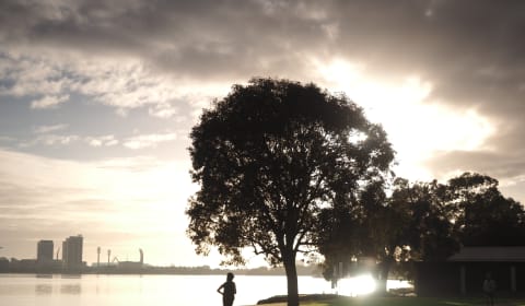Person jogging next to a three with the skyline of Perth in the background
