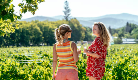 Two women drinking wine in a vineyard
