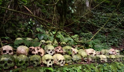 Human skulls at the Trunyan cemetery in Bali