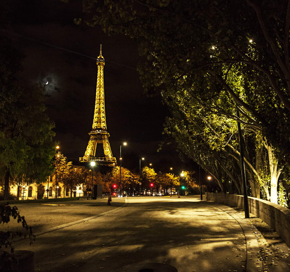 Picture of A Magical Evening in Paris: City Tour