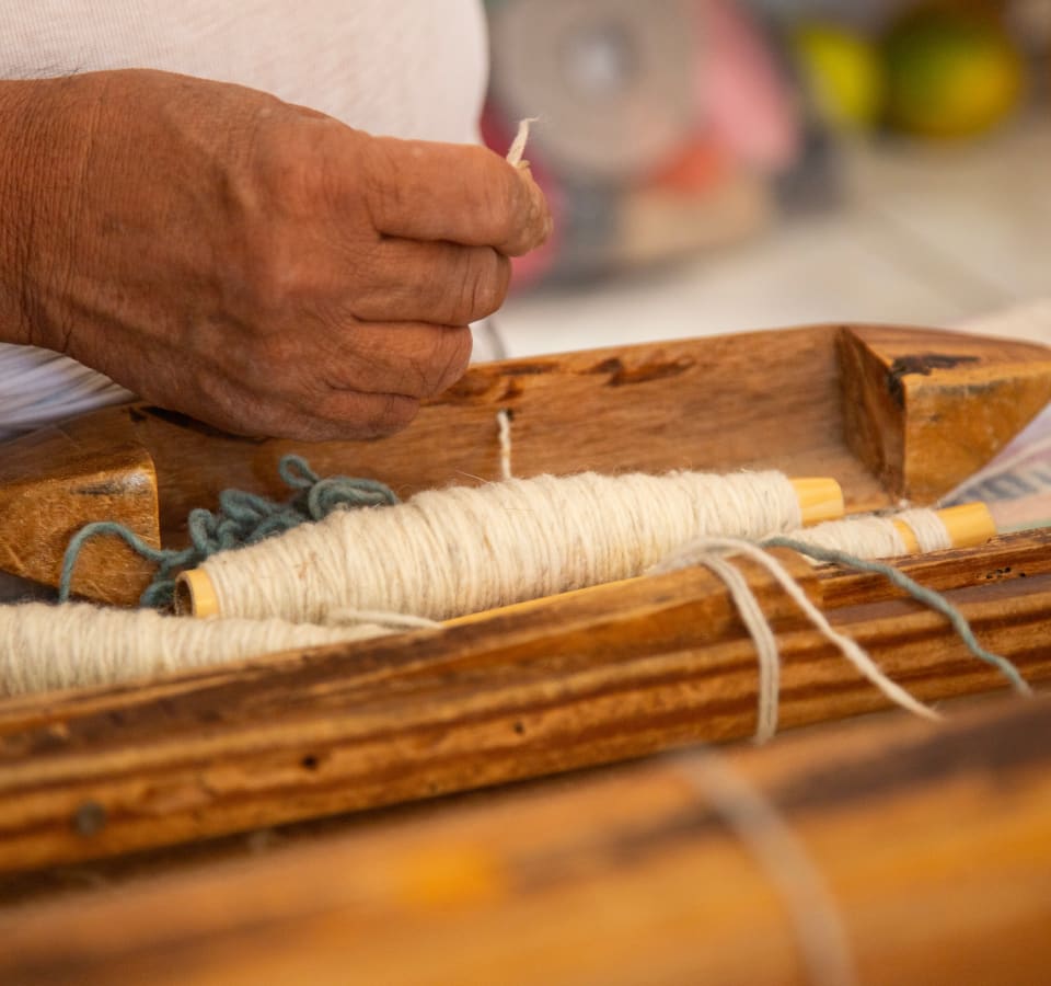 Picture of  Artisan Wonders of Oaxaca: A Journey Through Tradition and Craftsmanship