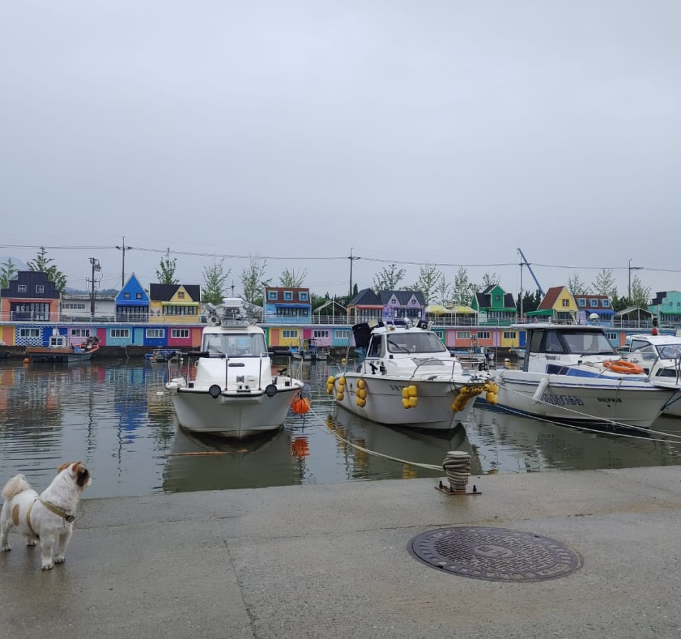 Picture of Busan's Coastal Gems: Bunecia, Nakdong River Walk, and Dadaepo Beach Sunset