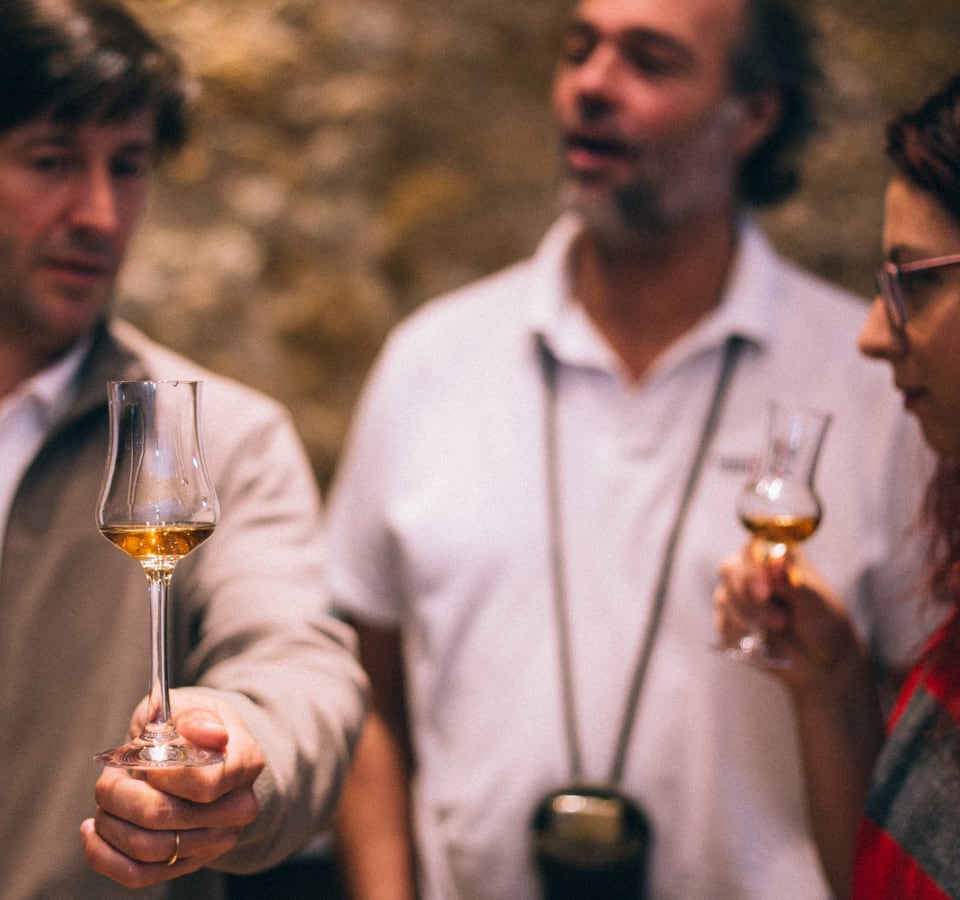 Picture of Divine Wine Tasting in Setubal - Private Day Trip