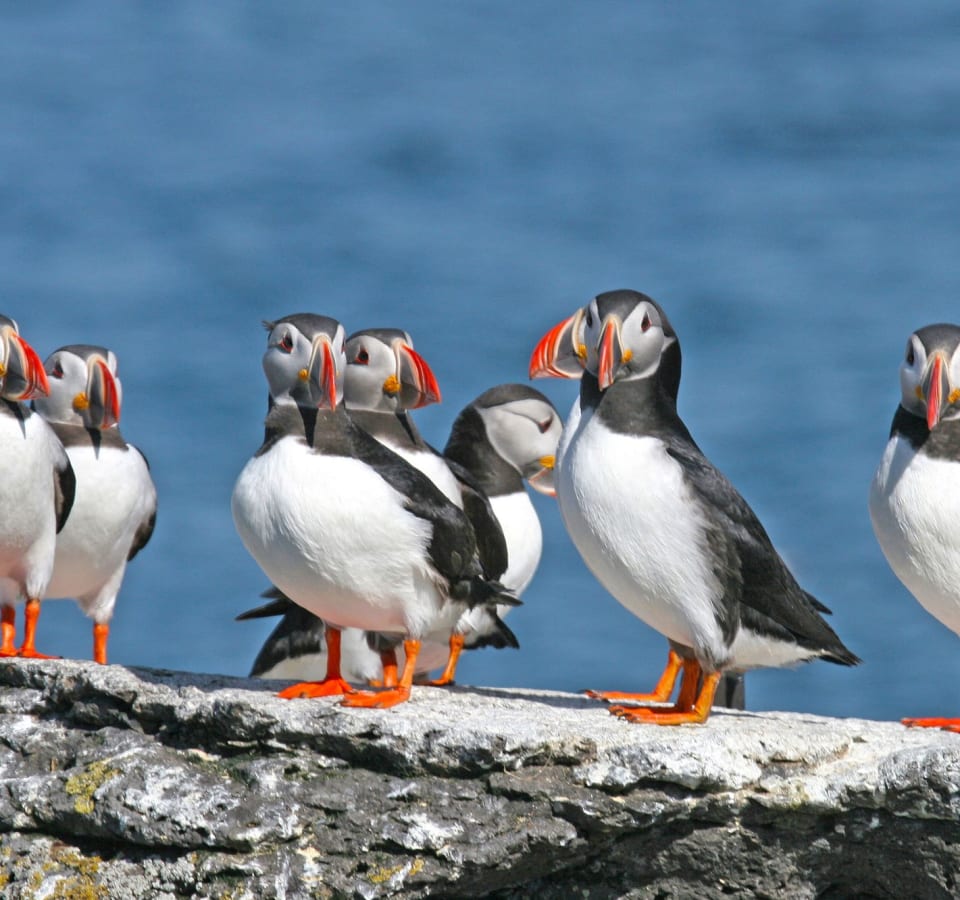 Picture of Private South Coast tour with a Local Guide