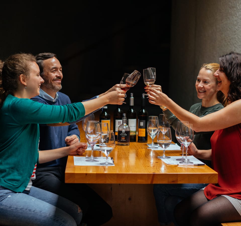 Picture of Azeitão Vineyard Tour & Wine Tasting