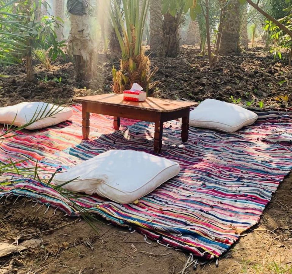 Picture of Explore Cairo's Rural Charms: Journey into the Countryside