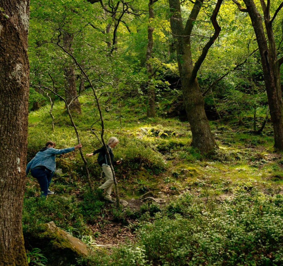 Picture of City Escape: Wicklow Mountains Day Trip