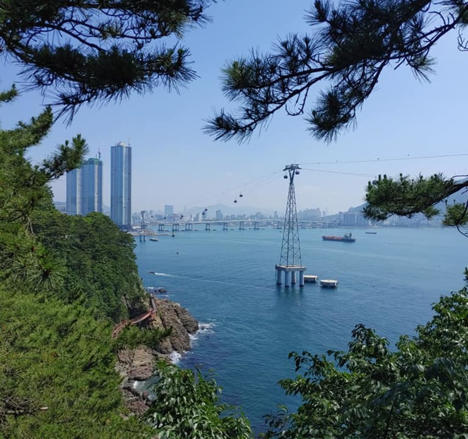 Picture of Songdo Sea Cable Car and Songdo Yonggung Suspension Bridge