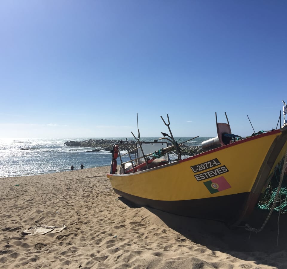 Picture of Exploring the Atlantic Coast: Food and History - The Best of Both Worlds