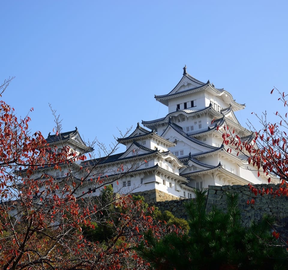 Picture of Cruise Shore Excursion: Himeji Castle & Kobe Delights