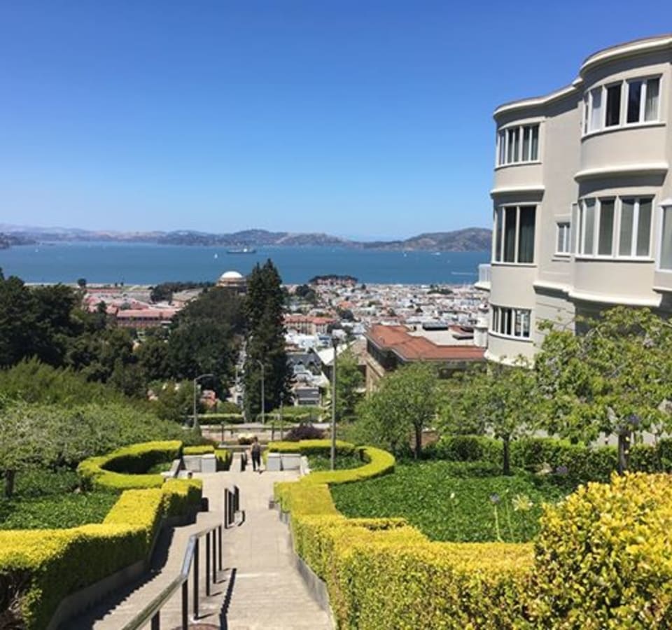 Picture of Presidio Park to Palace of Fine Arts & the Beach Tour