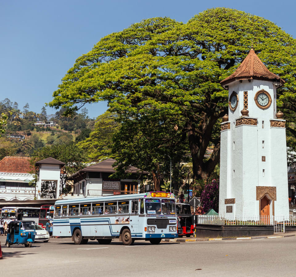 Picture of City Discovery: Kandy Day Trip