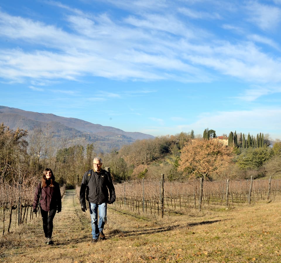 Picture of Nature fun! Tuscany Hike & Wine Private Tour with a Professional Guide and a Winemaker.