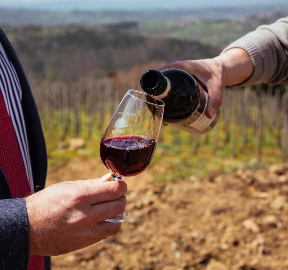 Picture of Wine tasting on the slopes of Vesuvius