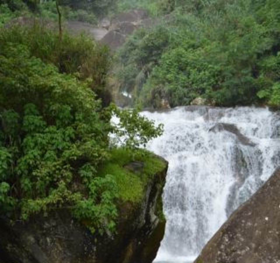 Picture of Full Day Hike Trip To Sinharaja