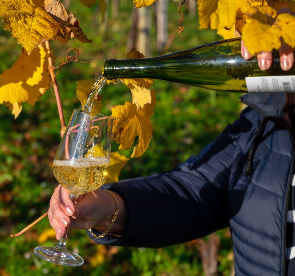Picture of Basque Coastal Wonders: From San Sebastian Streets to Txakoli Treats