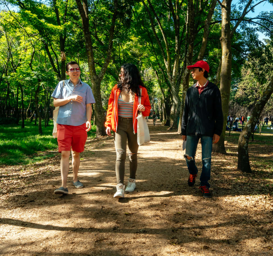 Picture of Off the Beaten Track in Mexico City: Coyoacan Tour