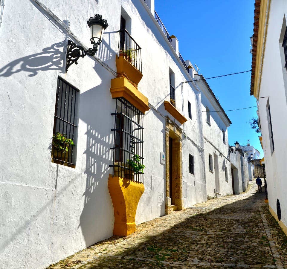 Picture of Vineyard Delights: Cadiz Hills and Local Village Tour