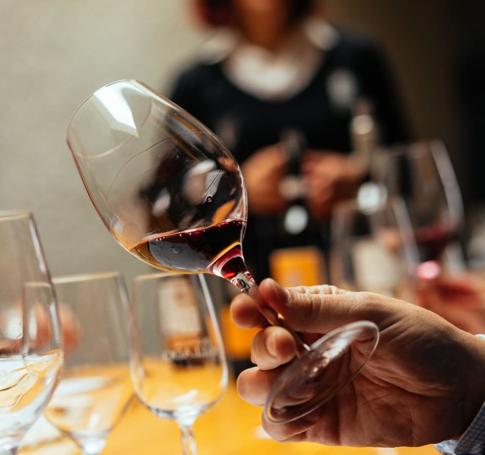 Picture of City Escape: Douro Valley Day Trip