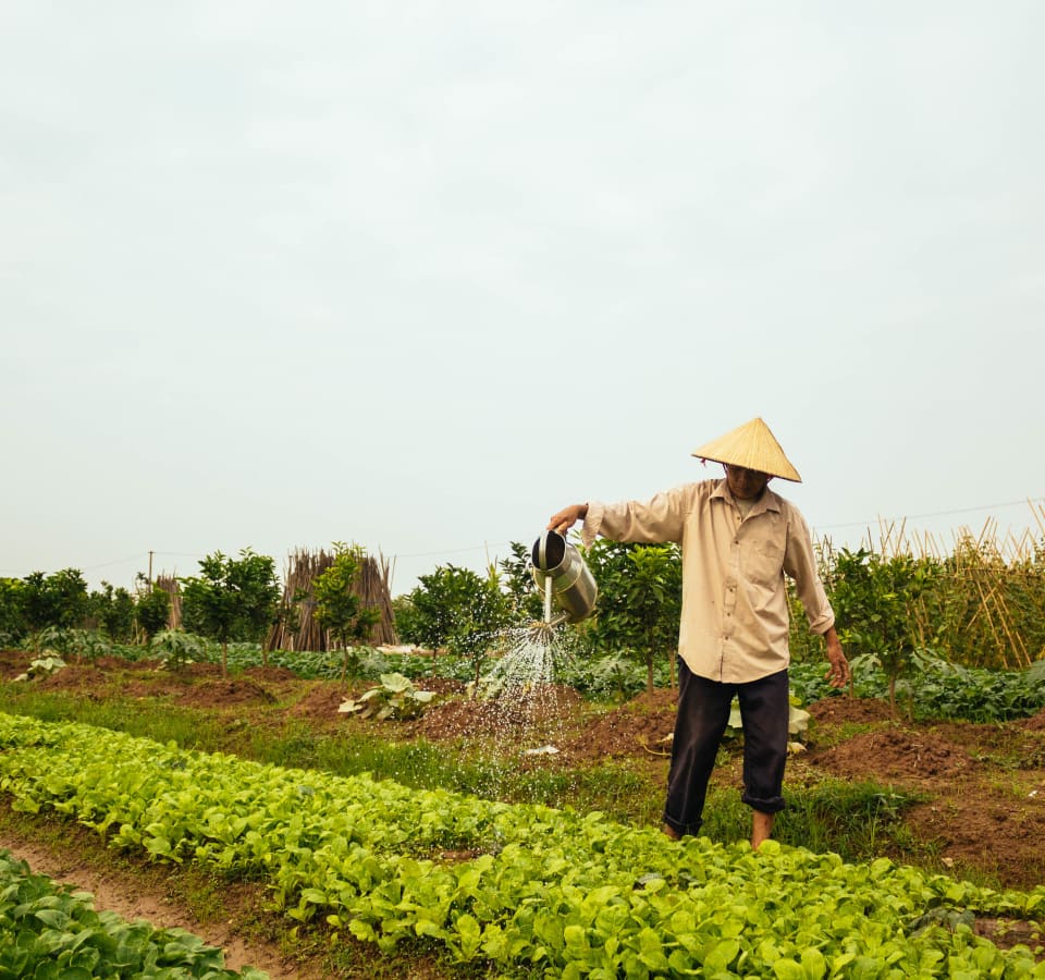 Picture of Farm tour & Cooking in Hanoi with local family