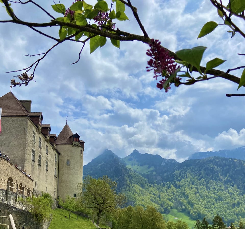 Picture of Gruyère's Medieval Charm and Culinary Wonders