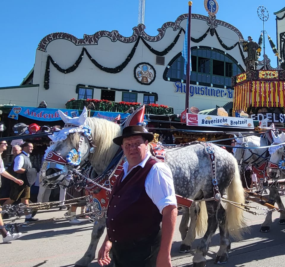 Picture of Bavaria's Finest: Oktoberfest in Munich