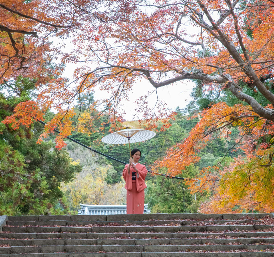Picture of City Explorer: Nara Day Trip